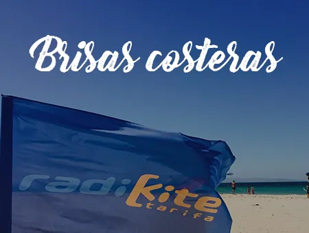 BRISAS
